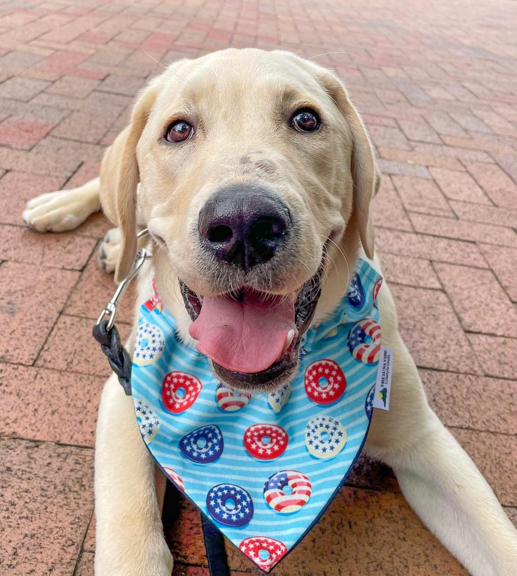 Patriotic Donuts Dog Bandana 🇺🇸