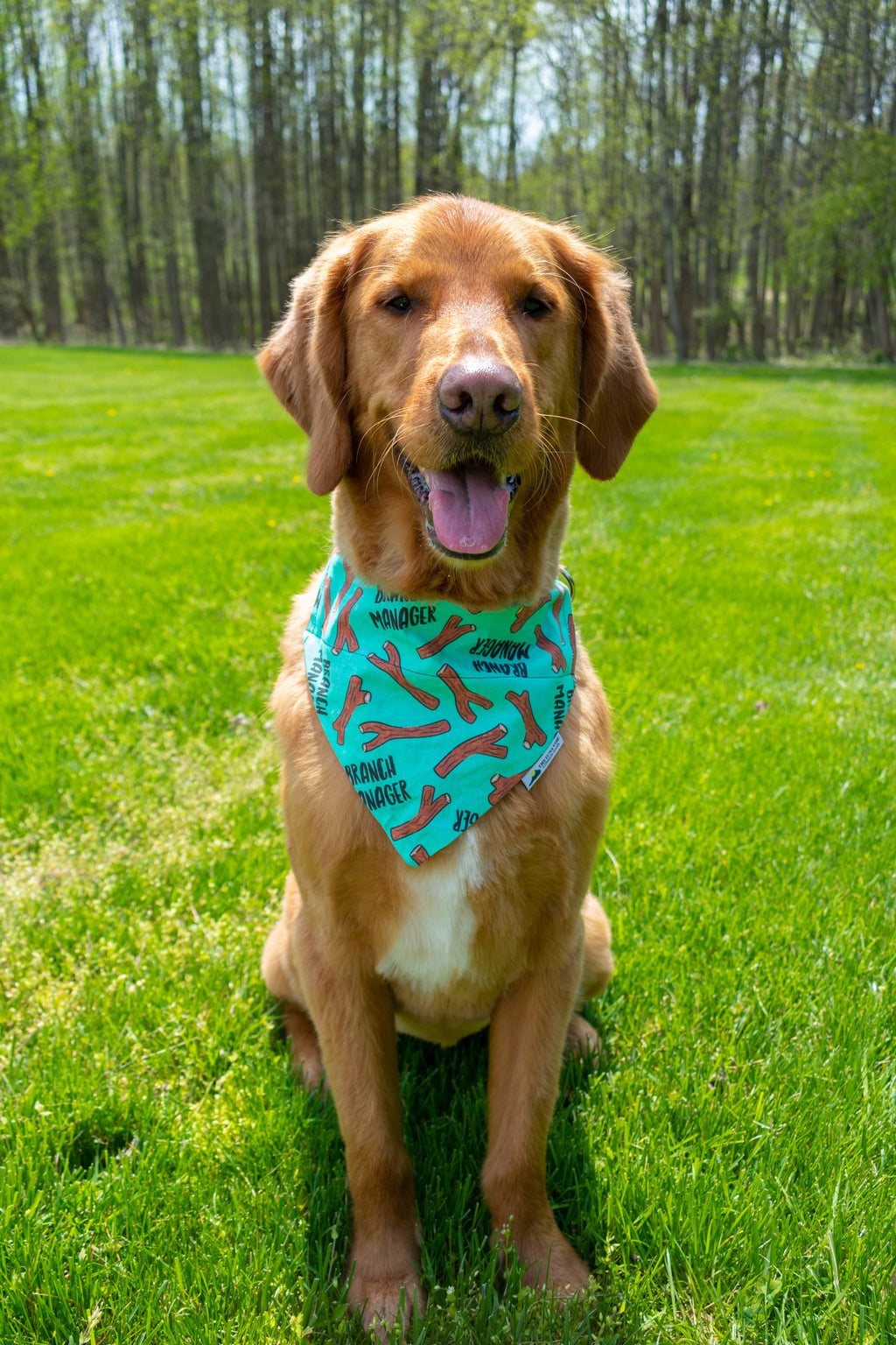 Branch Manager Dog Bandana