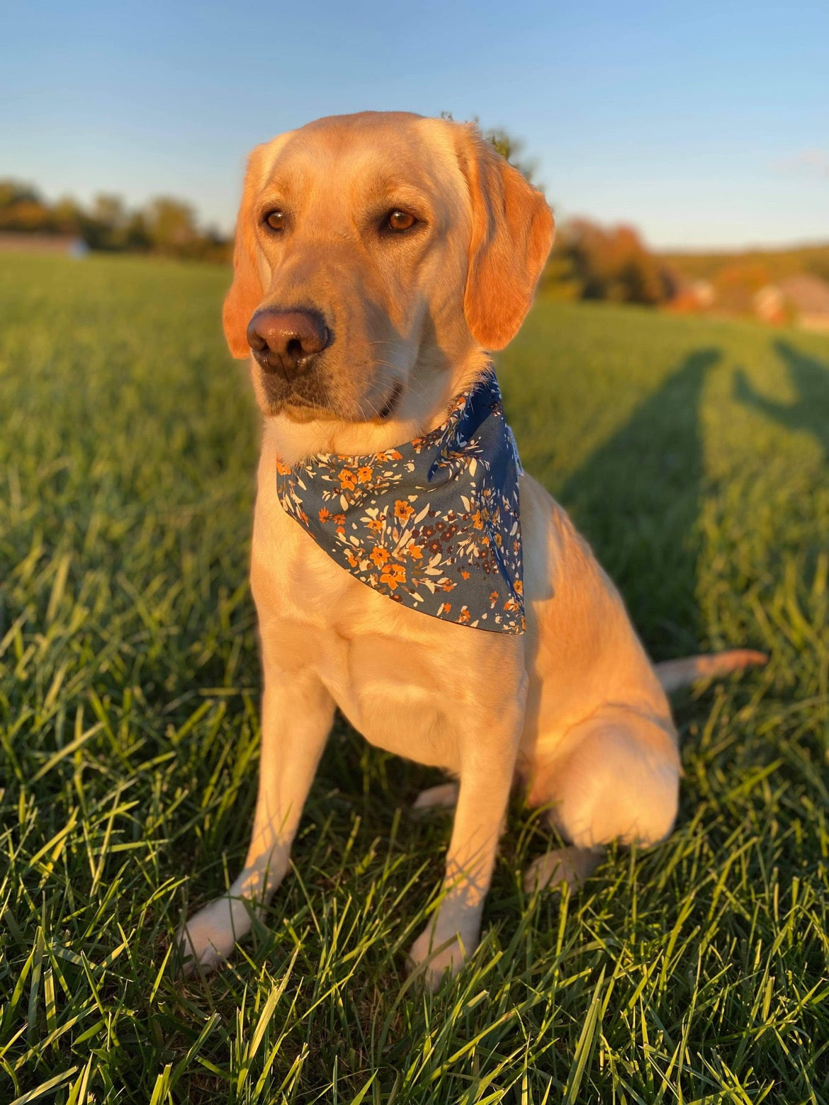 Floral Dreams Dog Bandana