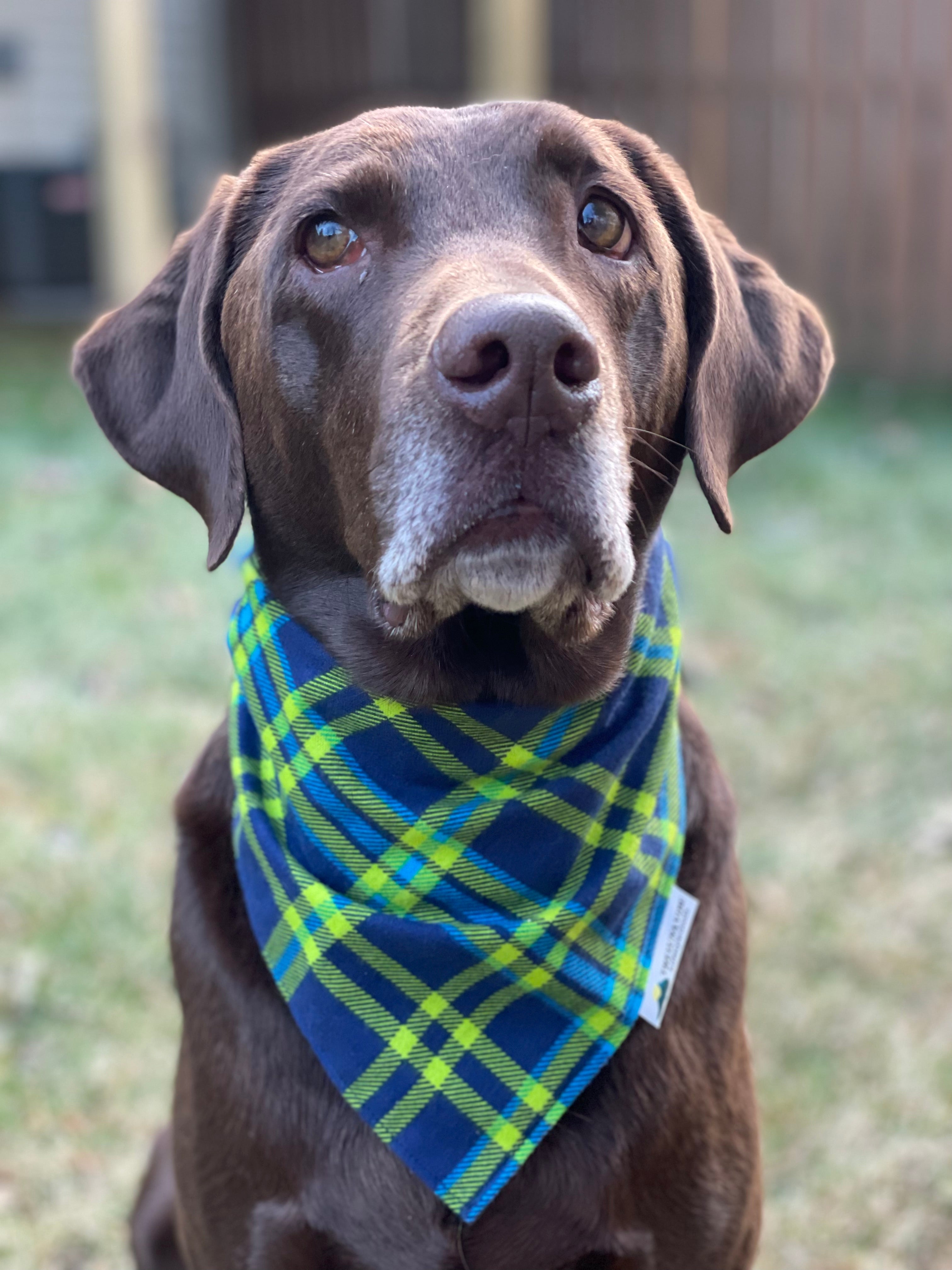 Plaid Green & Blue Tie-on Dog Bandana