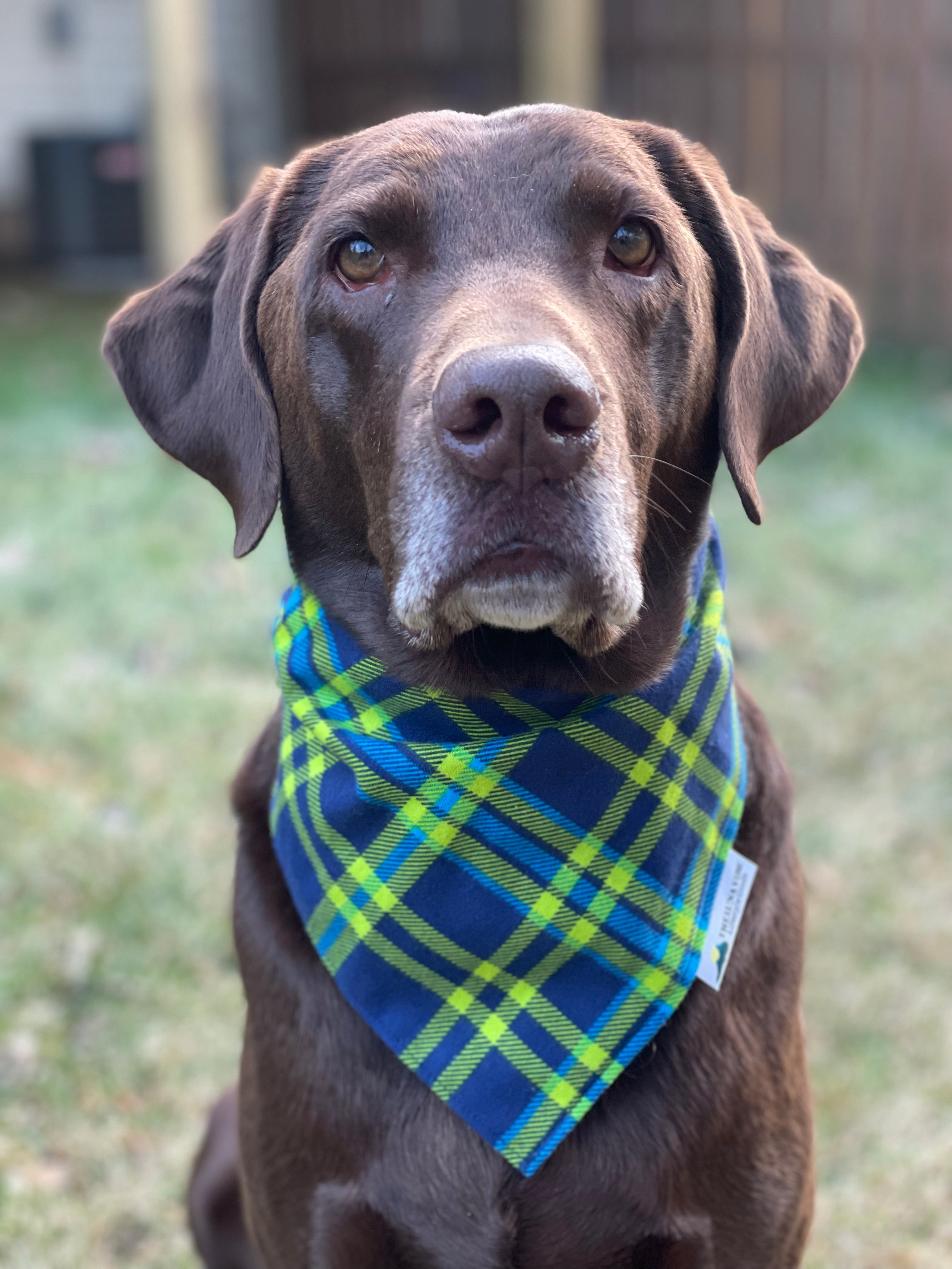 Plaid Green & Blue Tie-on Dog Bandana