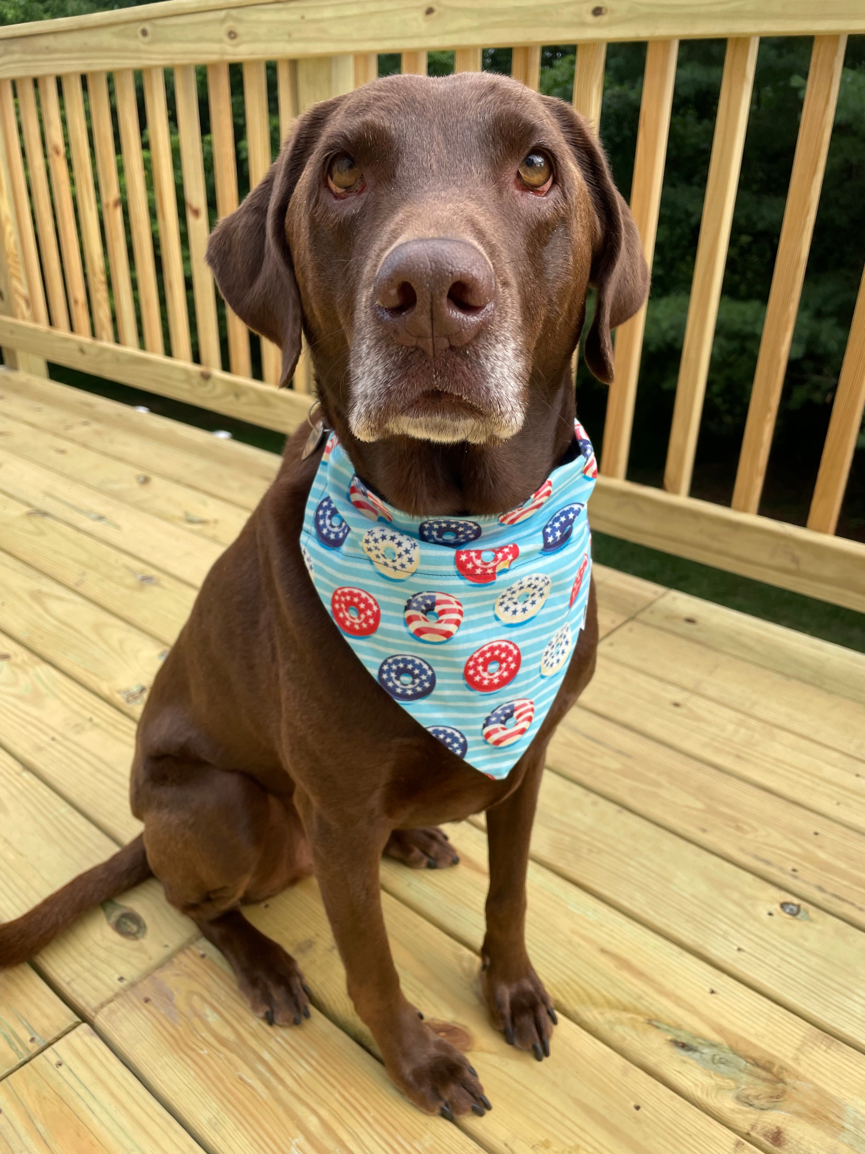 Patriotic Donuts Dog Bandana 🇺🇸