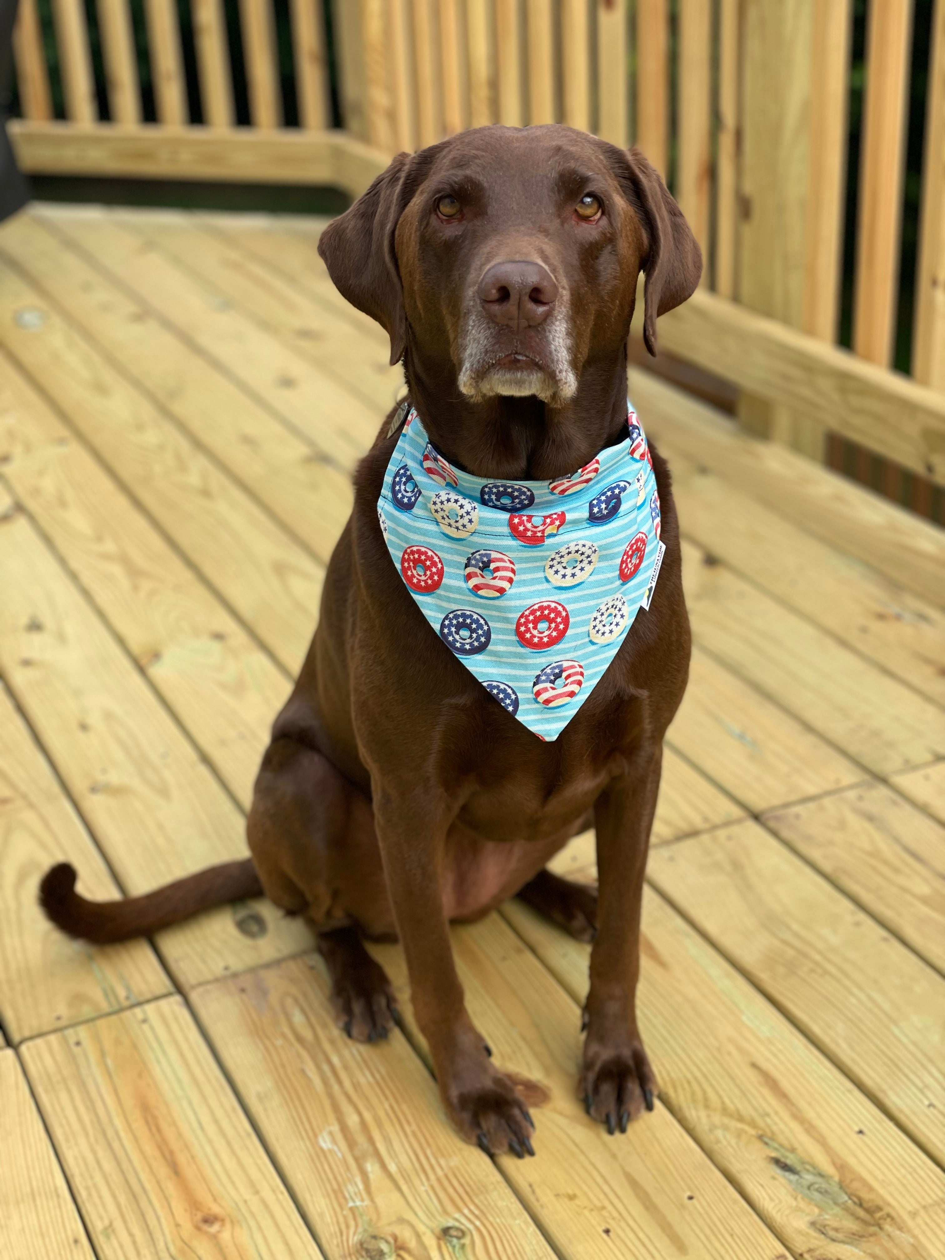 Patriotic Donuts Dog Bandana 🇺🇸