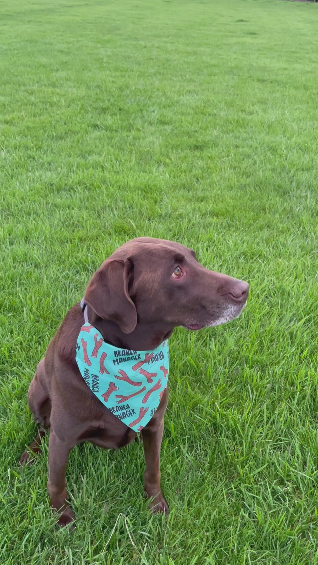 Branch Manager Dog Bandana